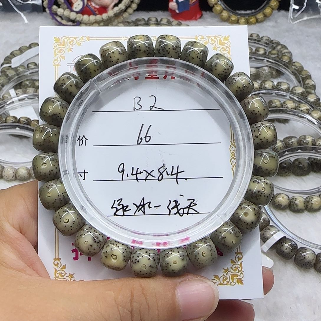 心月星月菩提一号B2