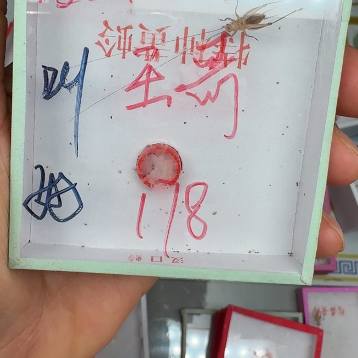 王***蛋蟋蟀蝈蝈我在外面吃饭1111111