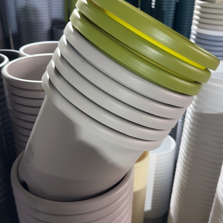 特价4号8个无托果绿