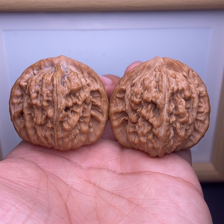 核桃全品平谷楼子