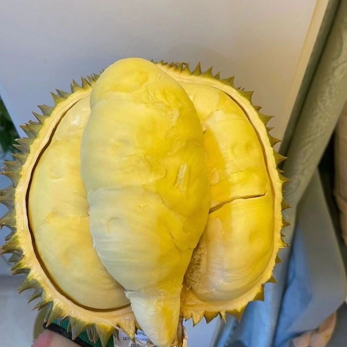 金枕鲜榴莲（空运树熟保熟保甜）核小各别微大kg金枕泰国