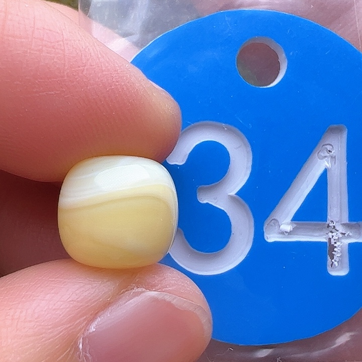 蜜蜡裸石未镶嵌10/9.5m m