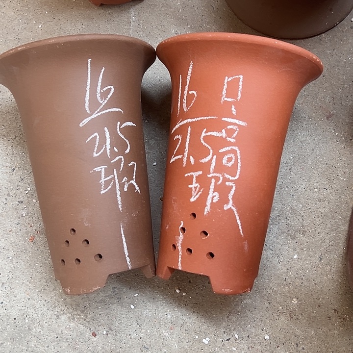 周深周深周深周深 