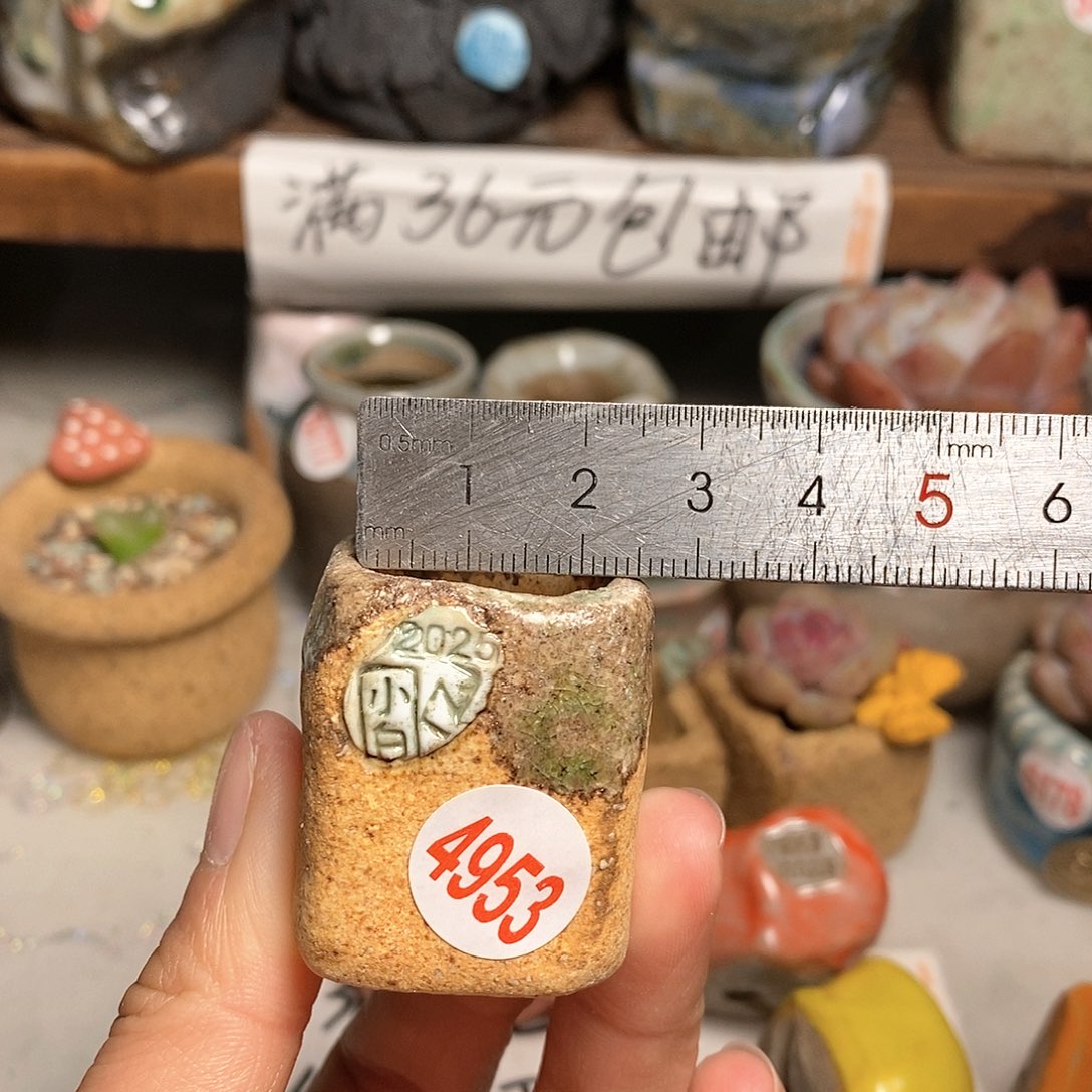 红陶拍5送一个小