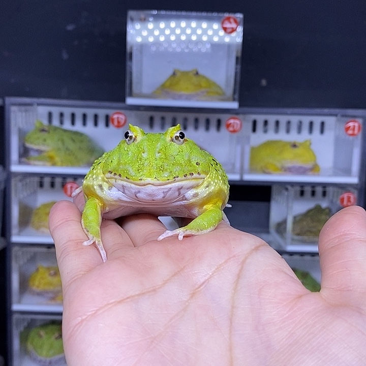特价秒杀一切顺利