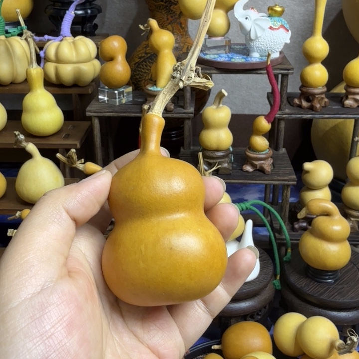 竹类老皮钱袋子葫芦