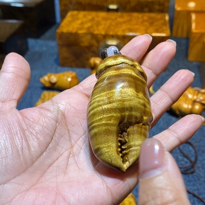 金丝楠做***赵金丝楠金丝楠金丝楠