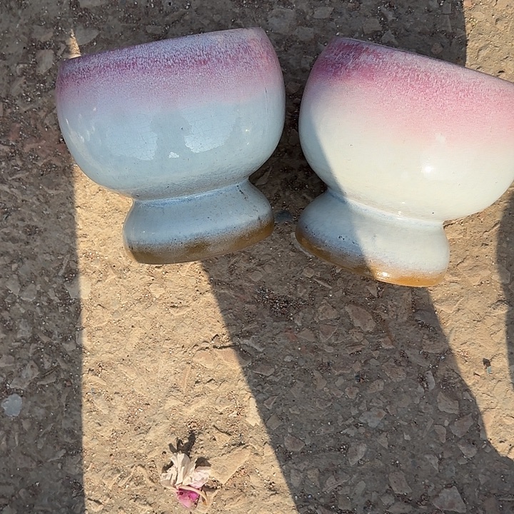 口径19高度19正品