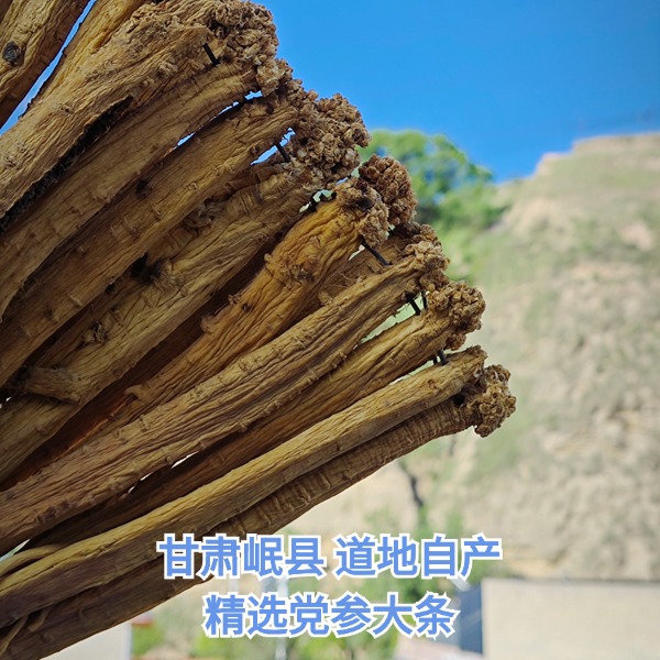 甘肃岷县  党参大条  自产精选泡水煲汤产地新货原味滋养