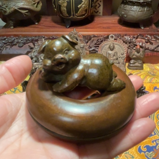 哈发*?铃儿和猪猪哈哈哈