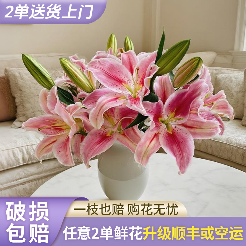 【源头优选】罗曼蒂克香水百合花水养插花用云南直发鲜花