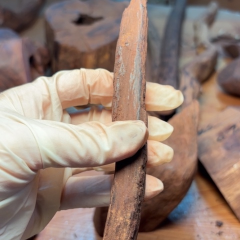 黄花梨/降香黄檀其他路*原木直邮