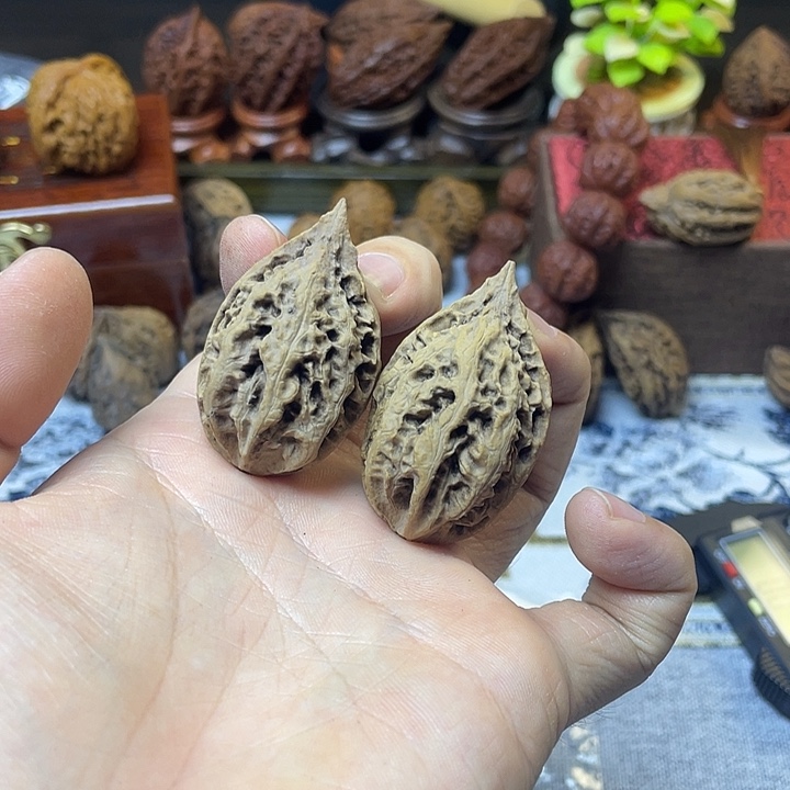 核桃东北楸子高尖龙脊16