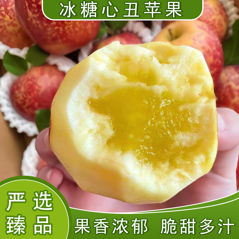 昭通苹果买3斤送2斤冰糖心丑苹果云南昭通昭通丑苹果产地直发