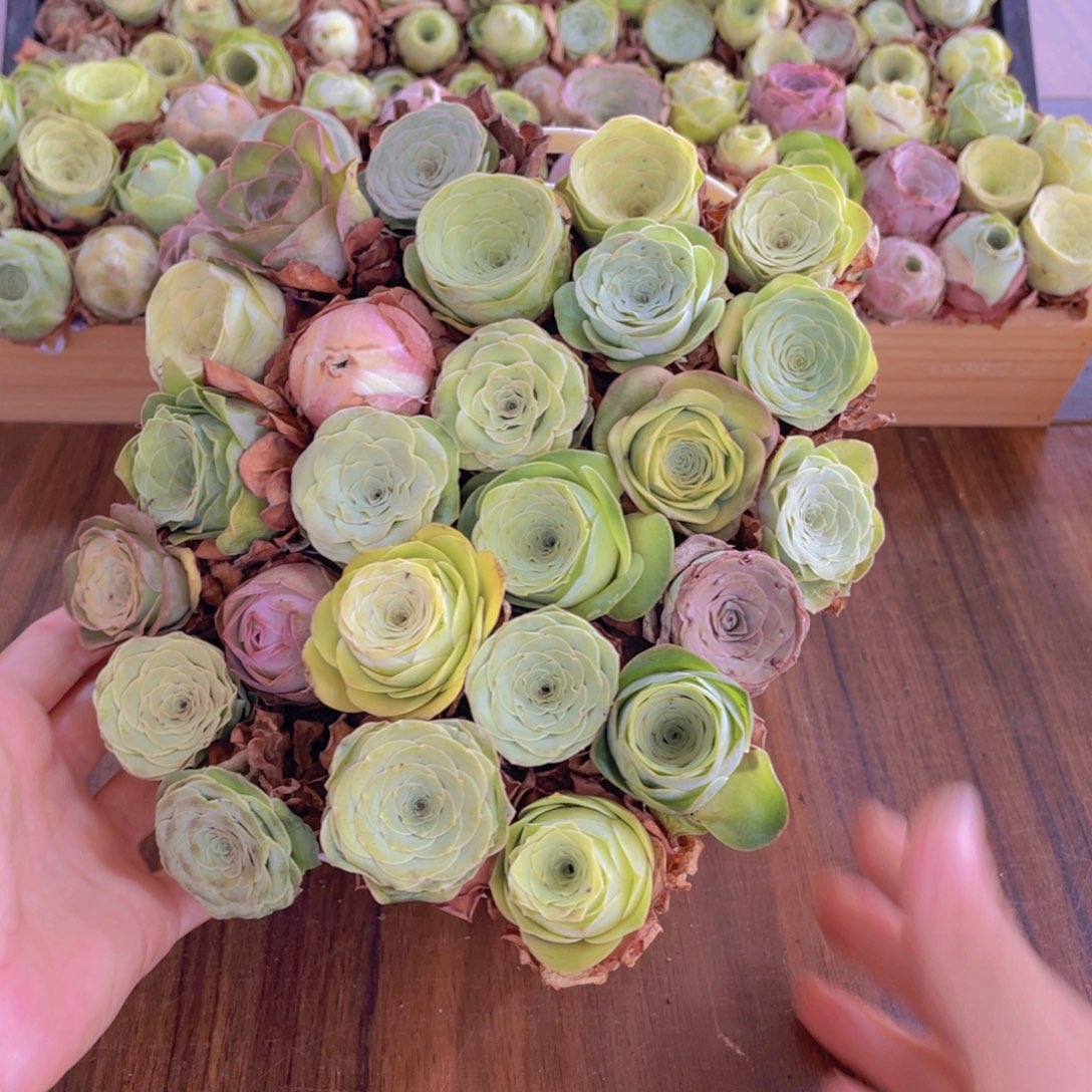 保底25颗以上量拍➕花篮88888