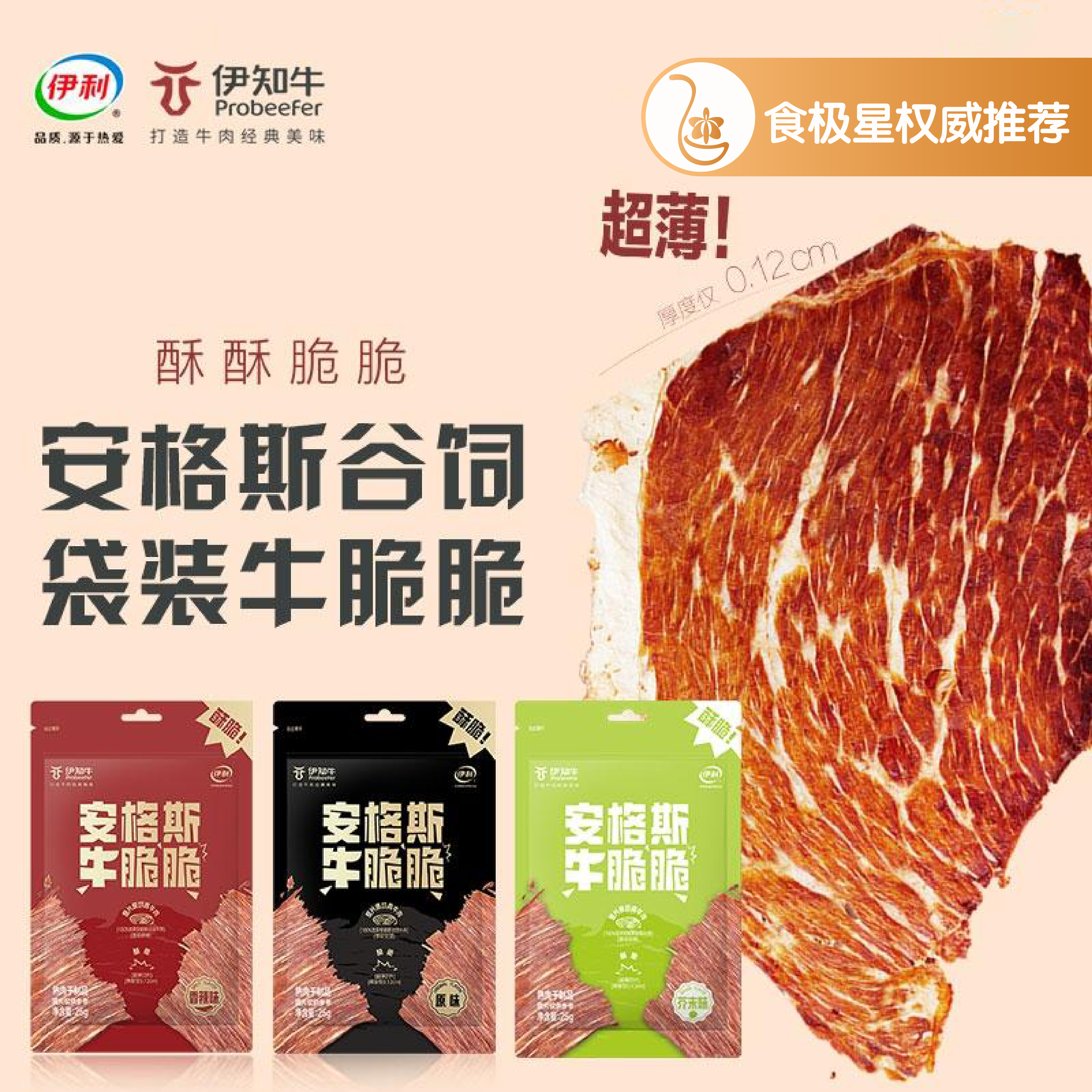 安格斯谷饲牛脆片风干牛肉干高蛋白休闲解馋零食25g*2袋