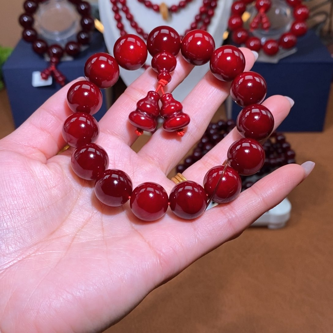 贝壳杉血龙木1.5千年果冻