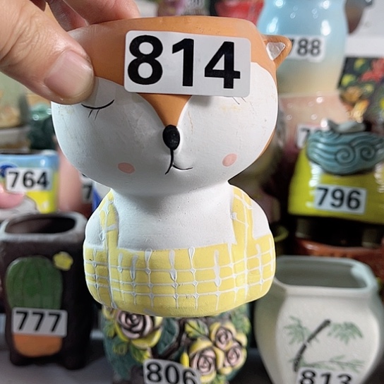 红陶多肉植物花盆