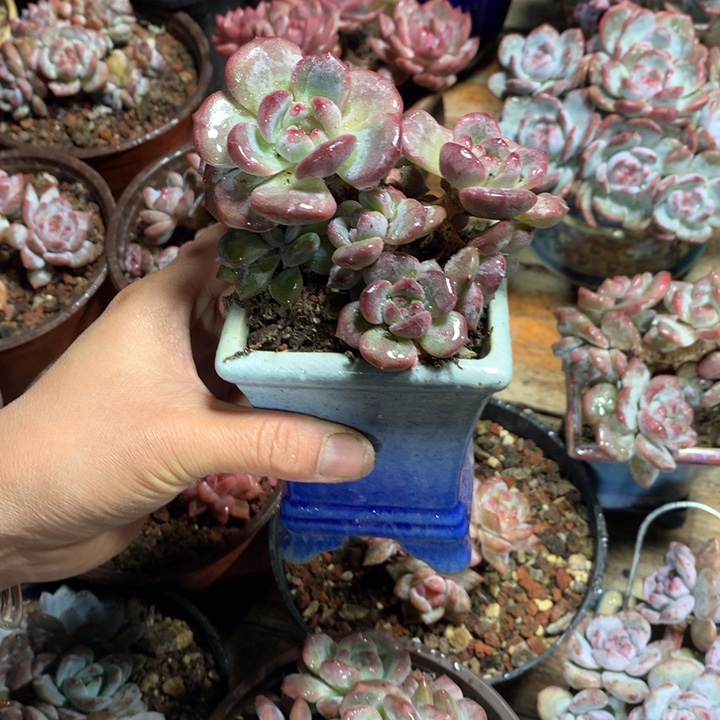 哈哈哈哈哈哈哈哈2