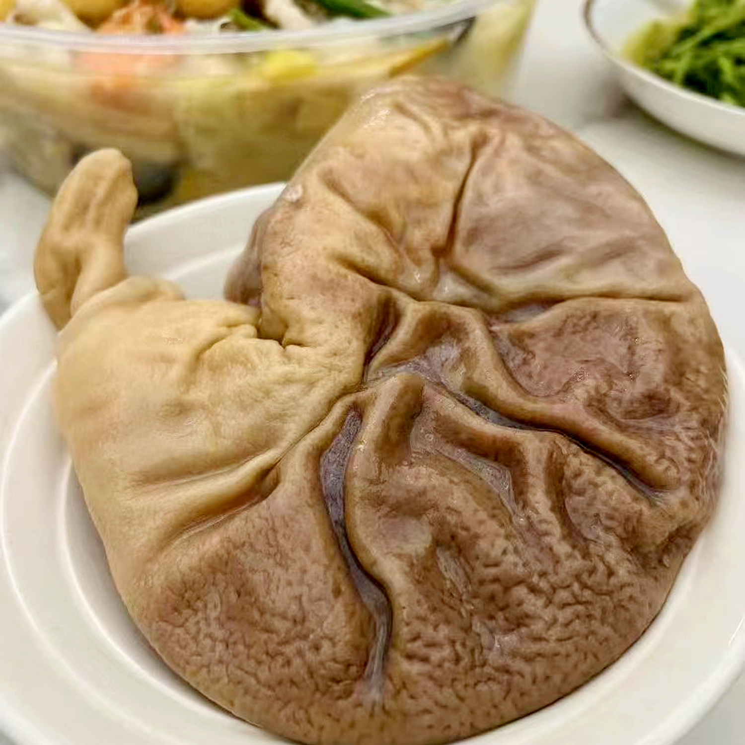 【华哥招牌】潮汕本地新鲜熟食猪肚胡椒猪肚免洗即食猪肚顺丰包邮