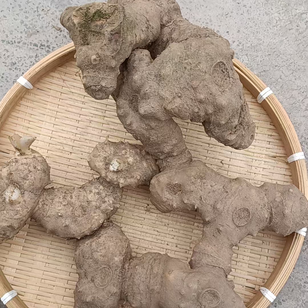 恩施高山农家老 虎 姜】恩施高山山妹代购农产品