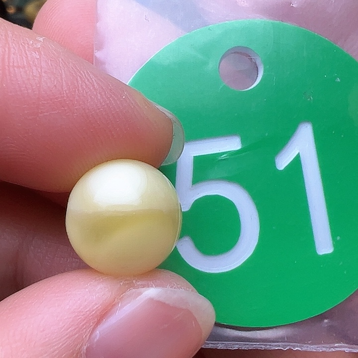 蜜蜡裸石未镶嵌11m m