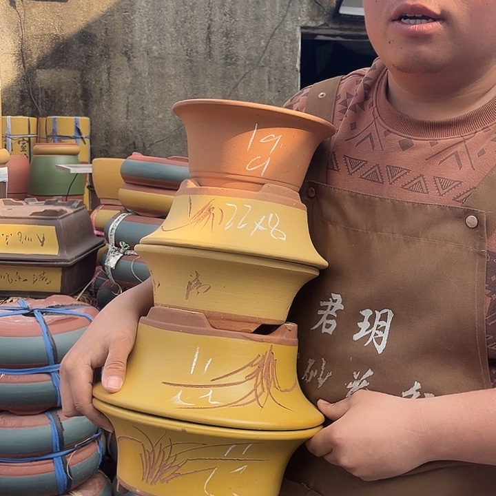 紫砂紫砂花盆盆栽