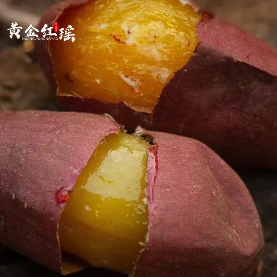【老何严选】黄金红瑶 新鲜蜜薯原箱礼盒4斤左右（果子大小不均匀）
