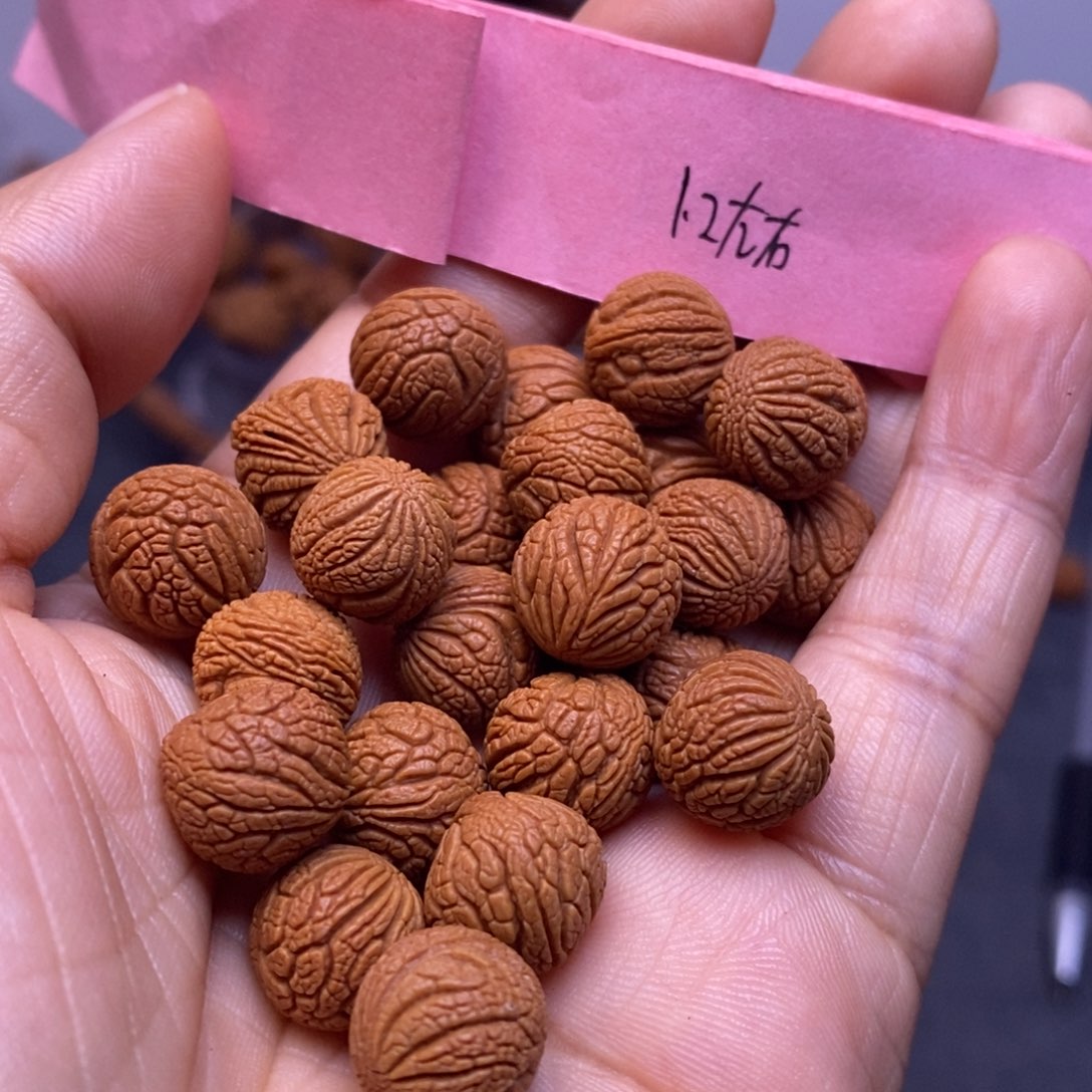 秦岭龙纹桃核20颗