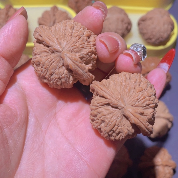 核桃手串/手链白狮子全品43尺