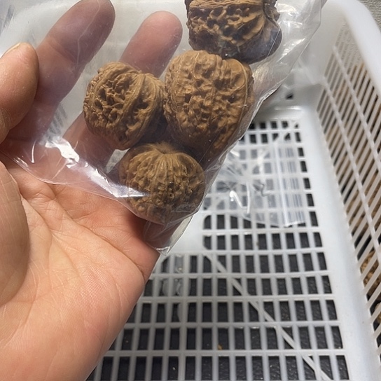 向***阳文玩核桃吊坠不退不换