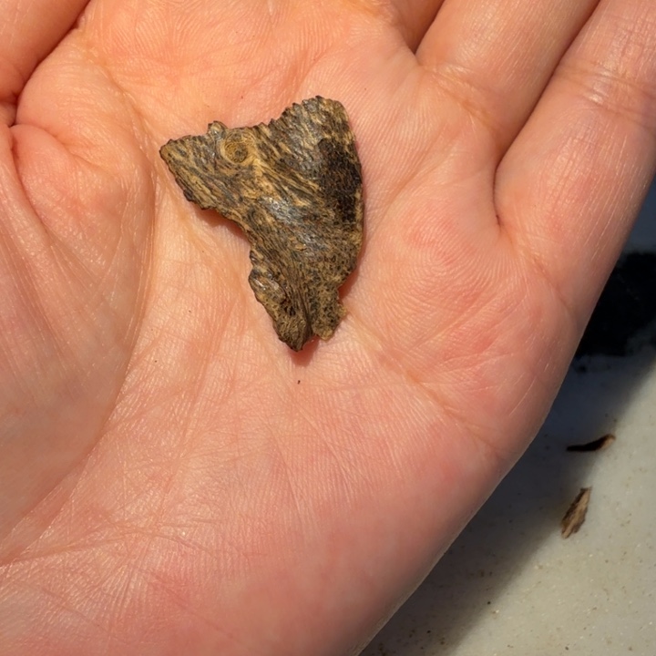 全***家吊坠沉香海南大山老料0.60克