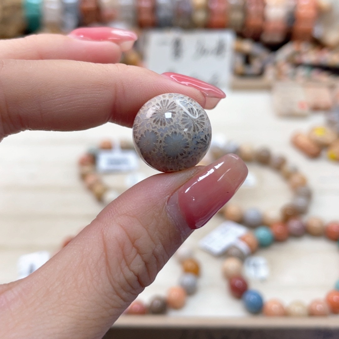 未镶嵌手链硅化珊瑚（珊瑚玉）︶****╮373