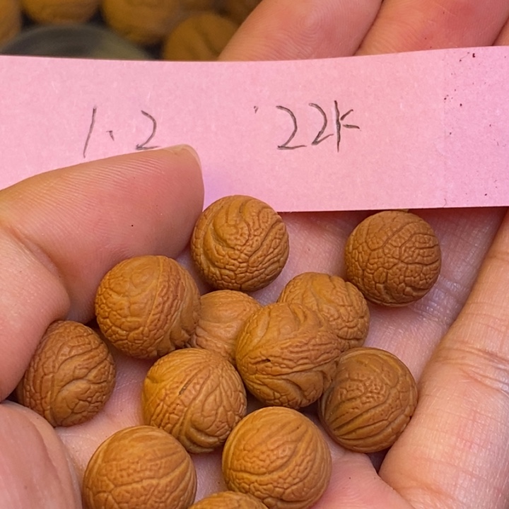 桃核吊坠秦岭龙纹桃核22