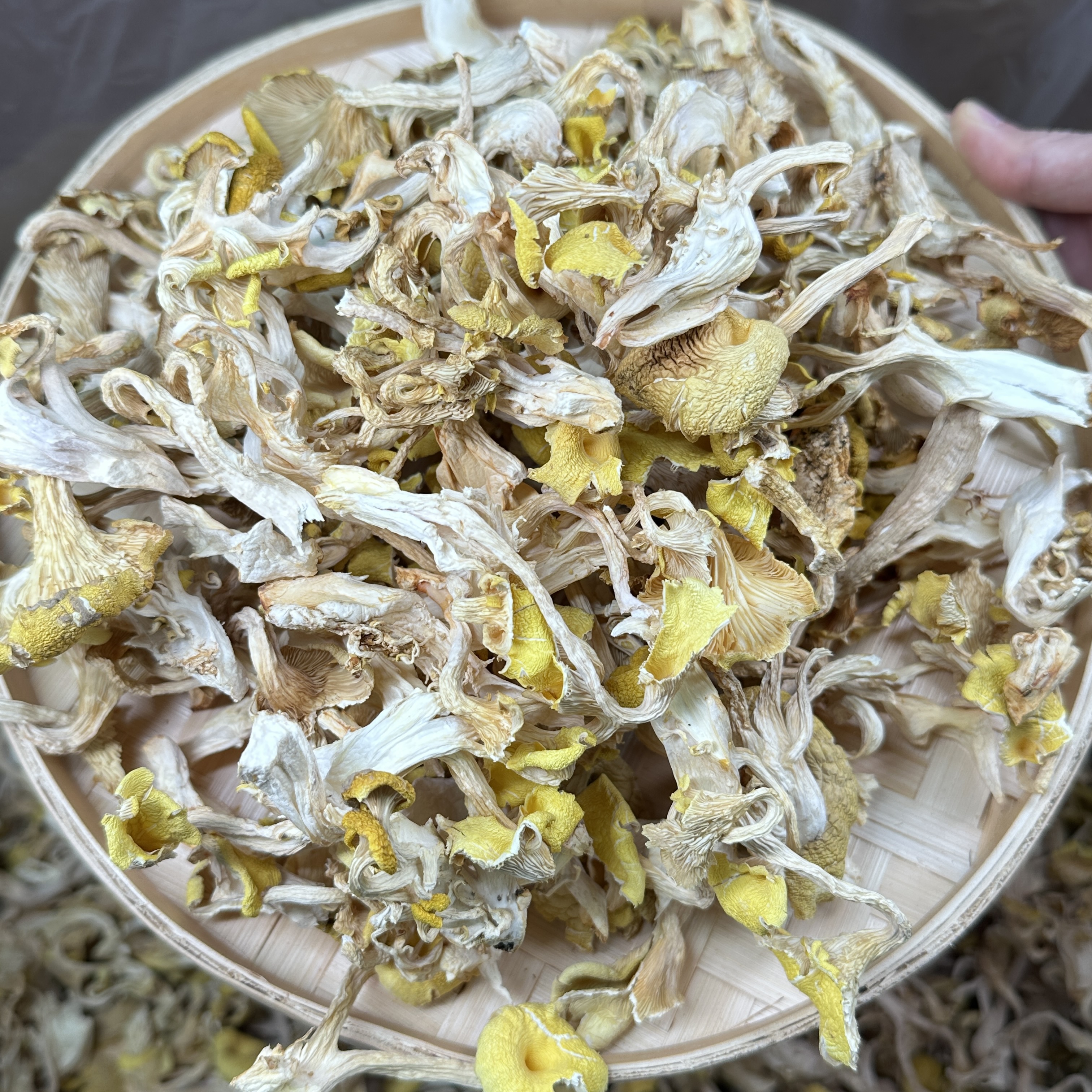 精选鸡油菌 煲汤干货（足干，会有少量碎）