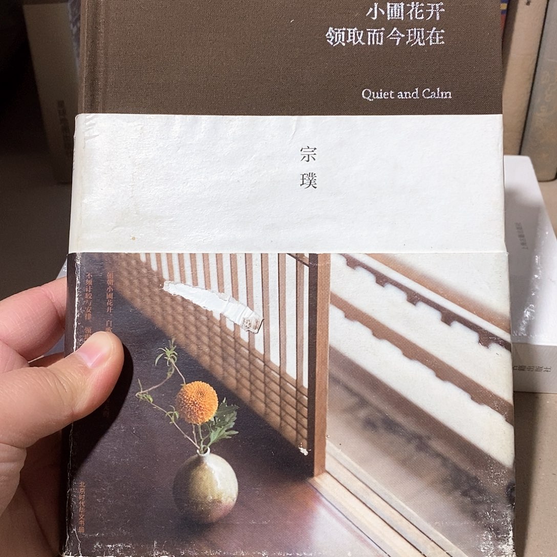 瑕疵  小圃花开    