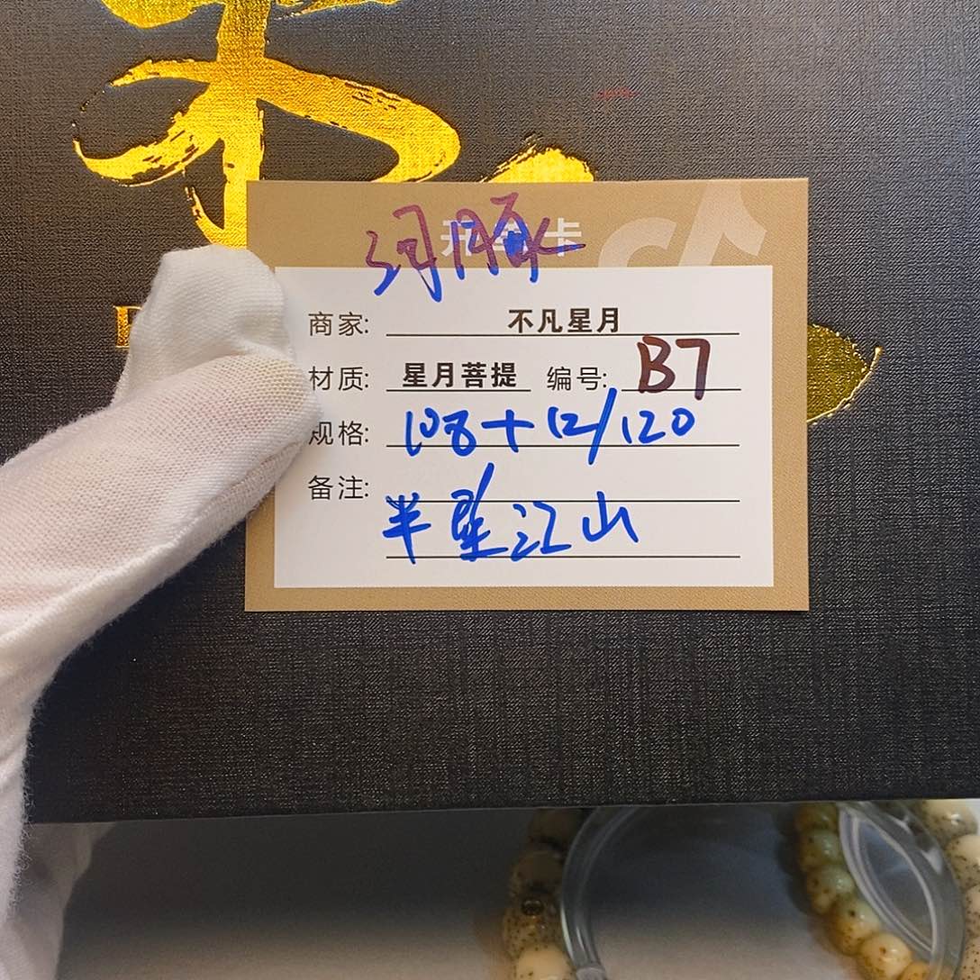 星月菩提手串11112222B7