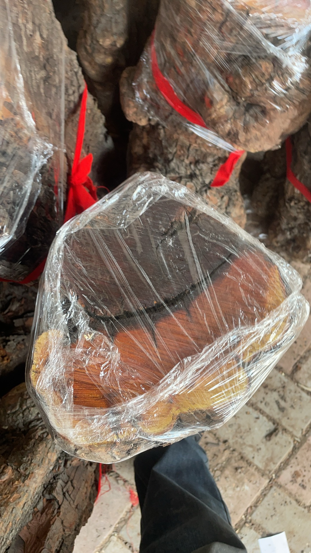 天然雷击枣木玉化料