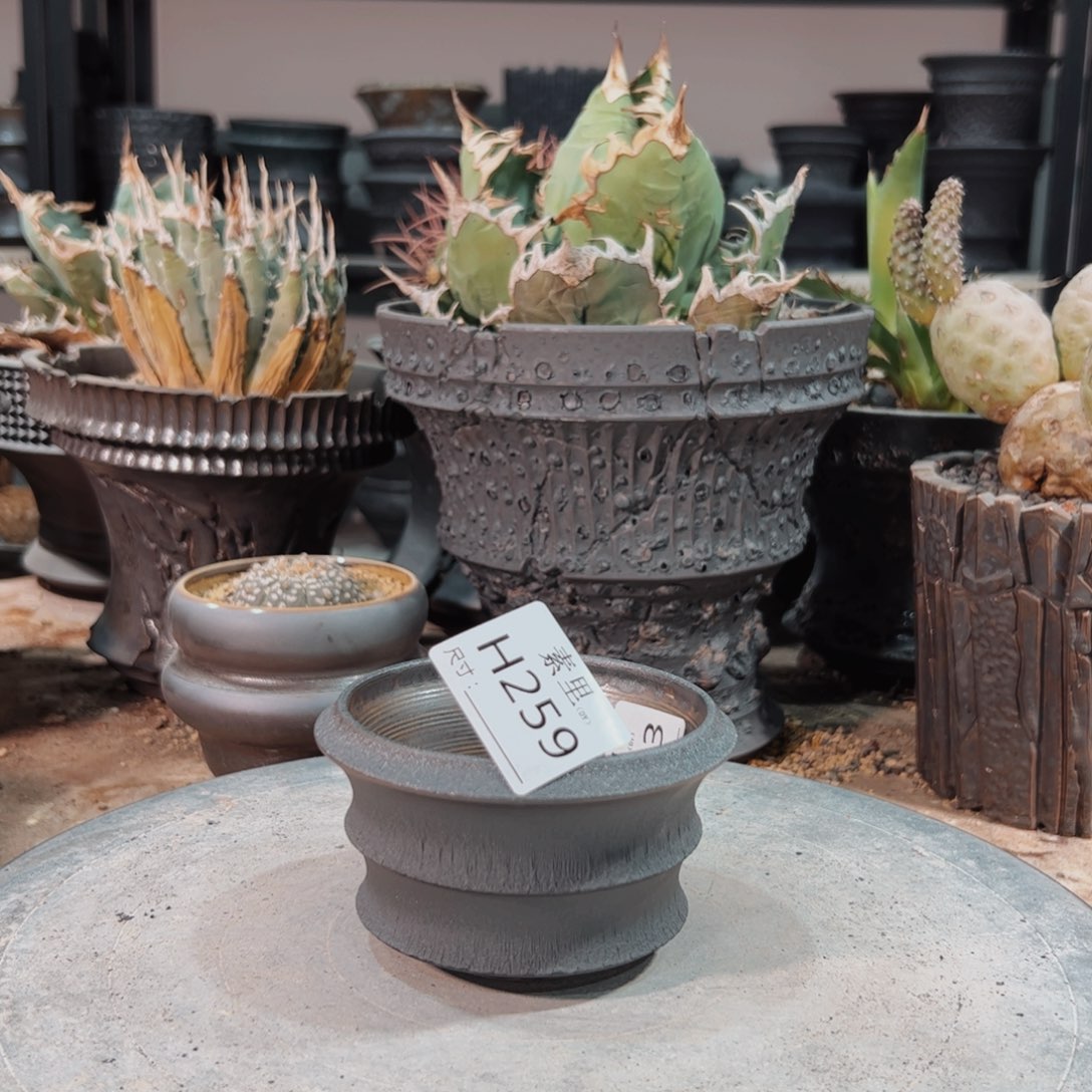 景德镇手工素里内口8.5高6