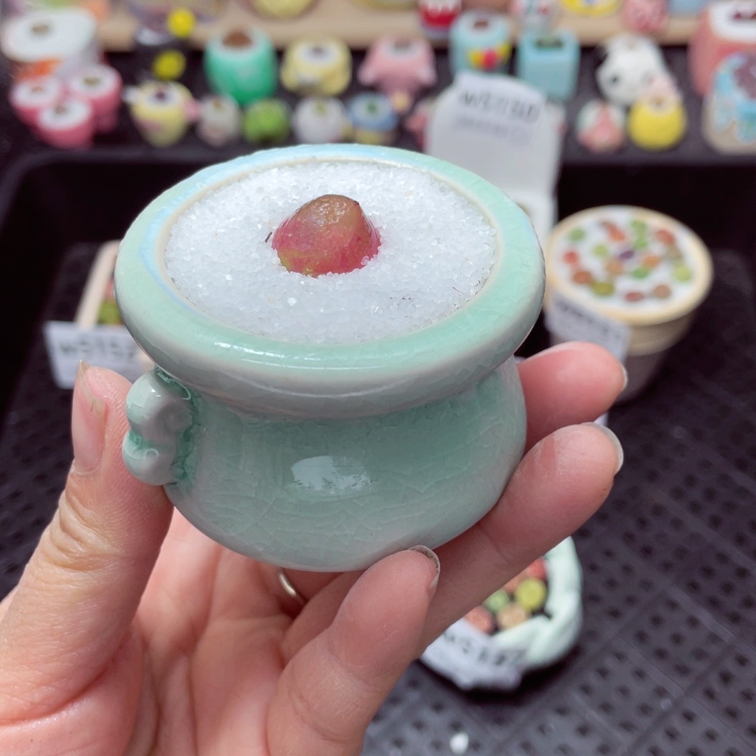 w5158 带盆土发货-零下地区拍保温箱