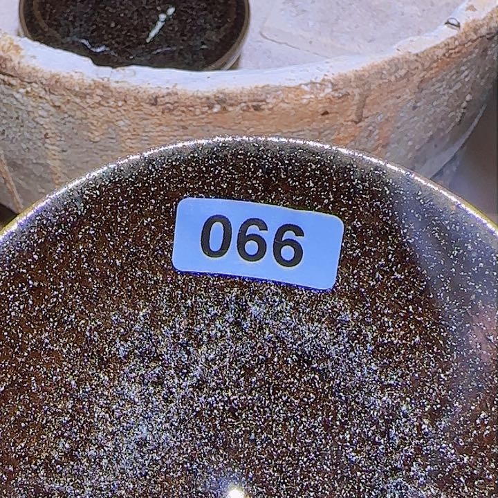 茶盏在把所有材料用到锅的底部之后