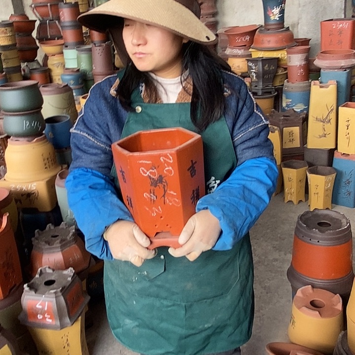 紫砂花盆盆栽花卉苗木种植