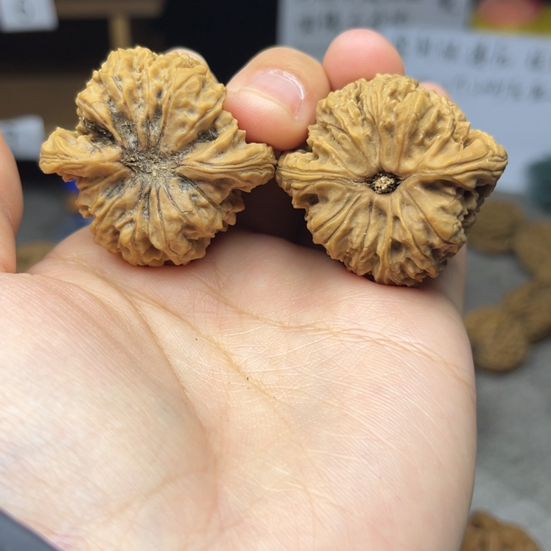 东***娃文玩核桃把件涿鹿南疆石