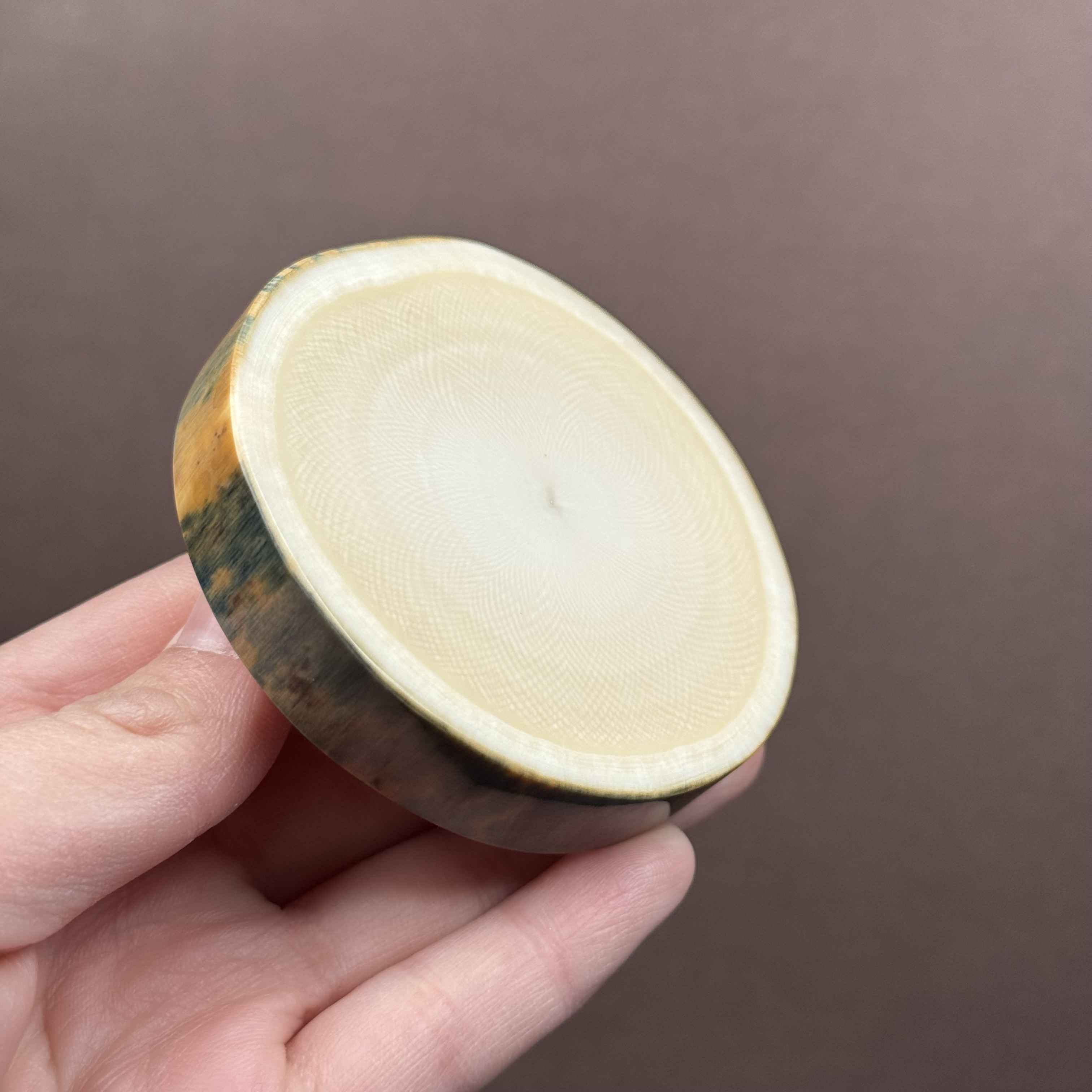 E12-81天然猛犸牙 带皮牙饼子 64.7*72.4*12.8mm支持鉴定假一罚四