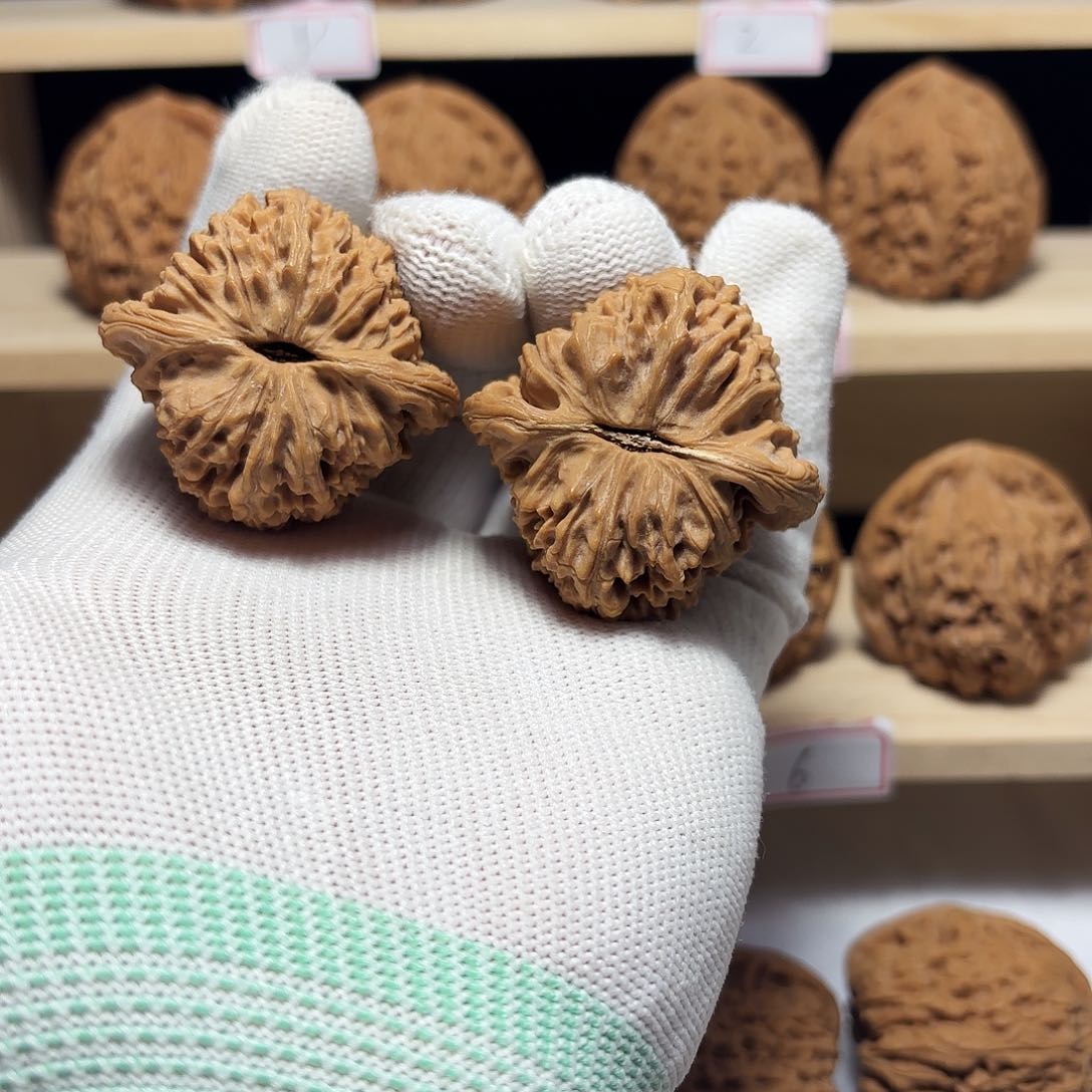 文玩核桃把件D****s涿鹿南将福利有黄