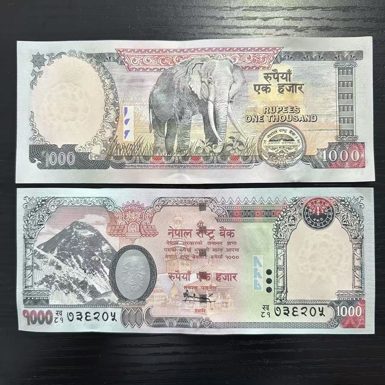 尼泊尔1000卢比纸币 2016年大象版 大面值亚洲外国钱币全新