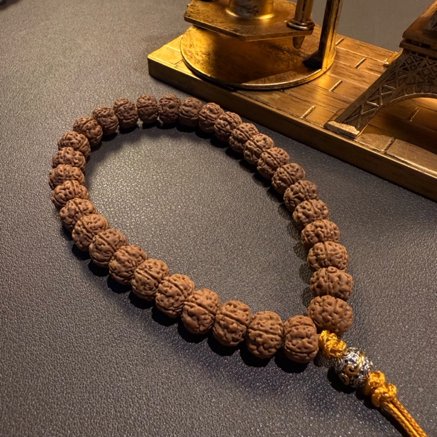 【老树王精挑头货】小金刚