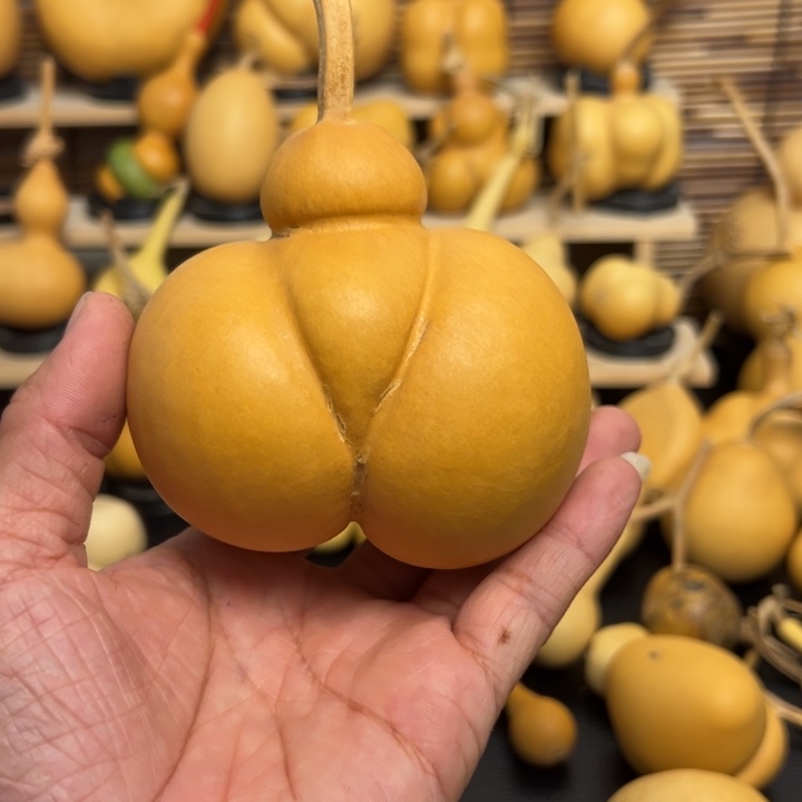 ?****?45858889669999