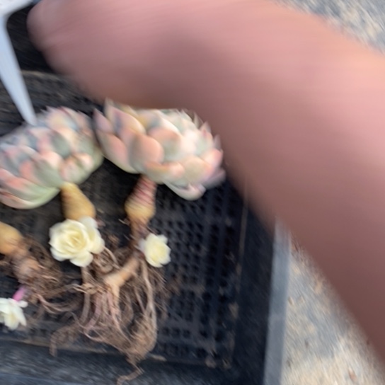 121一一一一一一一一一