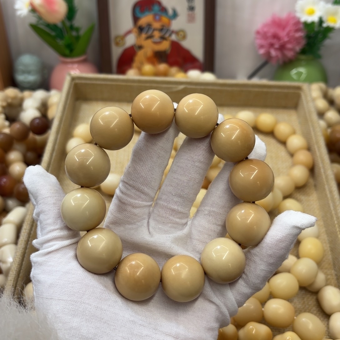 吊坠菩提根/象牙果22干磨瑕疵牙果圆珠221
